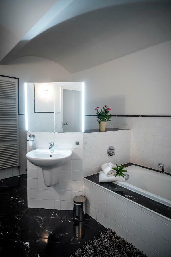 Am Park Apartment Dresden